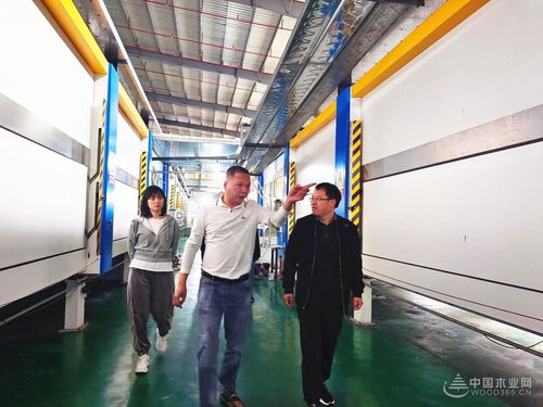 广西林科院木材研究所等团队到访伟新集团考察交流